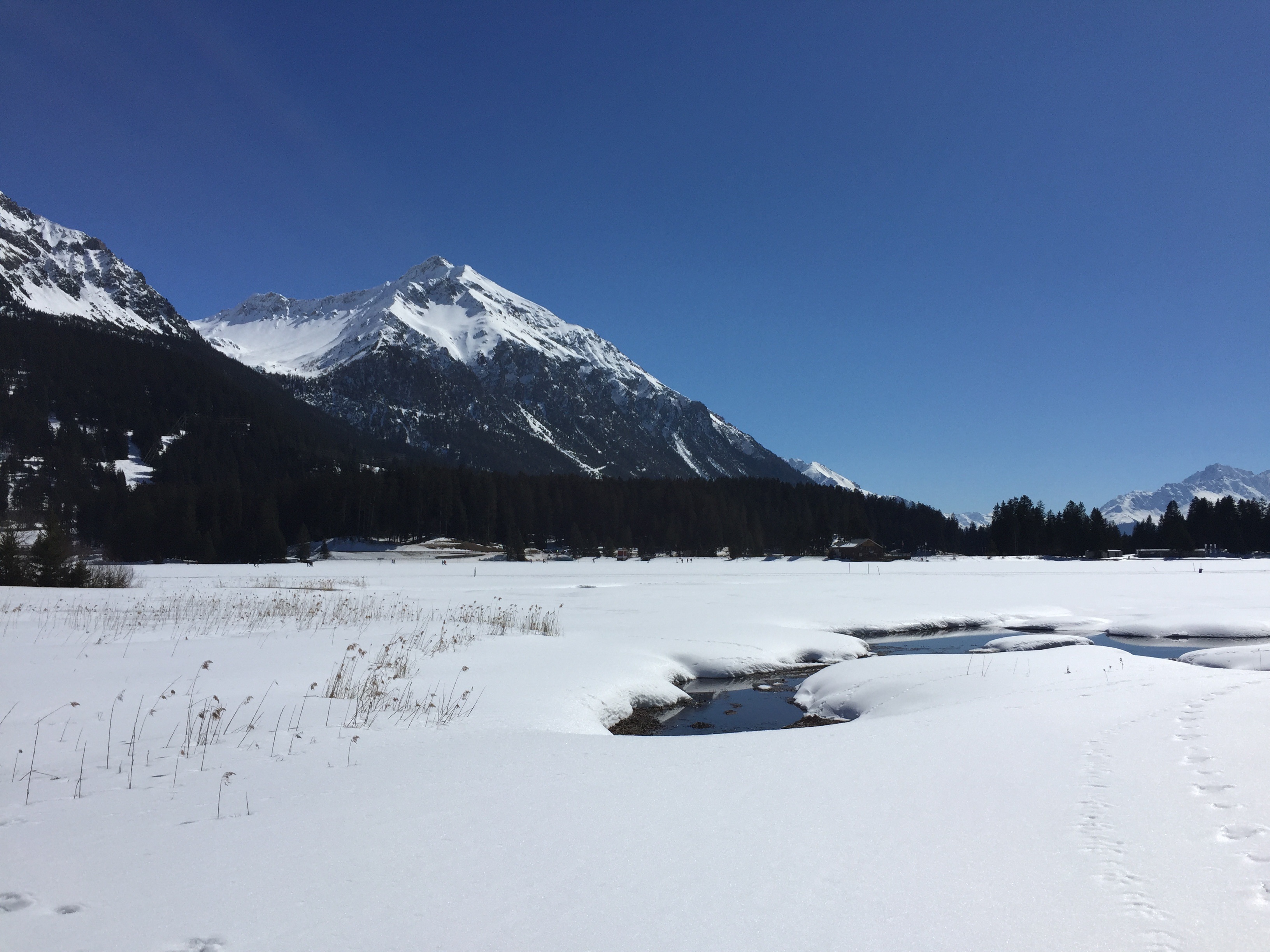Verschneite Landschaft in Lenzerheide mit Bergen, Wald und einem kleinen Bach